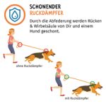 Floxik Ruckdämpfer Hund Gross – Elastische Leinenverlängerung für Sicherheit beim Joggen & Radfahren – Bild 5