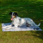 dobar Kühlmatte 99,5 x 70 cm – Selbstkühlende Hundedecke für Hunde & Katzen – Bild 6