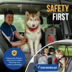ZooNice Hundedecke Auto Rückbank mit Hartboden – XL-Liegefläche & Sichtfenster für SUV – Bild 5