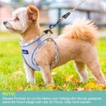haapaw Hundegeschirr & Leine Set – Anti-Zug Welpengeschirr mit Polsterung für kleine Hunde – Bild 4
