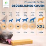 Dilecti Kaukäse XXL für Hunde – 100% Hartkäse, Zahnpflege & Langanhaltender Kausnack (3er-Pack) – Bild 7