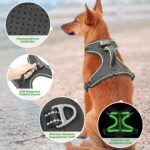 Kpuplol LED-Hundegeschirr wiederaufladbar – Leuchtgeschirr mit No-Pull-Design für alle Grössen – Bild 3