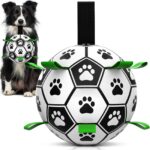 HETOO Hundeball mit Seil (M Grün) – Interaktives Hundespielzeug für Outdoor & Indoor
