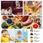 COOCHEER Dörrautomat mit 8 Etagen & Temperaturregelung 50–70°C – Profi-Dehydrator für Fleisch, Obst & Gemüse – Bild 6