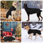 HEYWEAN Wintermantel für Hunde wasserdicht mit Fleece – Warme Hundejacke für kleine bis grosse Hunde – Bild 7