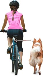 dobar Walky Dog Plus Fahrradleine – Edelstahl Hundeleine mit Quicklock für sicheres Radfahren – Bild 2