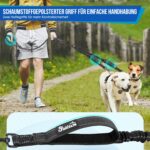 Eyein Doppelleine für 2 Hunde – 360° drehbar, stoßdämpfend & reflektierend (3–16 kg) – Bild 4