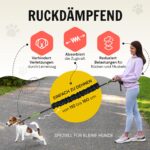 Hundefreund Joggingleine für kleine Hunde bis 15 kg – Freihandleine mit Bauchgurt – Bild 4