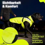 Wasserdichter Hunderegenmantel XL – Reflektierend & winddicht für mittelgrosse Hunde – Bild 4
