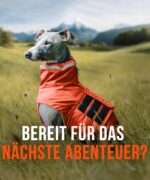 ZAUBERPFOTE® Hunderegenmantel London – Wasserdicht mit YKK® Reisssverschluss für alle Hundegrossen – Bild 7