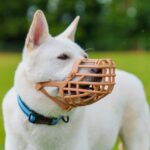 Baskerville Classic Maulkorb Grösse 10 – Hundefreundlich mit Hecheln & Trinken – Bild 2