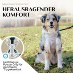 FREUDENTIER Hundegeschirr atmungsaktiv gepolstert – Anti-Zug-Brustgeschirr mit Griff & Reflektoren – Bild 3