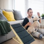 FIVMEN Hunderampe 60cm Holz Faltbar – Höhenverstellbare Haustiertreppe für Bett & Sofa – Bild 9