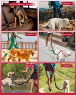 WANFIRE 2-in-1 Freihandleine mit Auto-Sicherheitsgurt – 1,8-2,8 m für grosse Hunde – Bild 8
