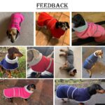 Morezi Winterhundejacke M mit Flusenfutter & Klettverschluss – Wärmeschutz für kleine Hunde – Bild 5