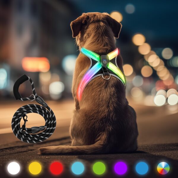 HENMI Leuchtgeschirr Set (L) mit LED & Hundeleine – Reflektierendes Sicherheitsgeschirr für mittlere Hunde