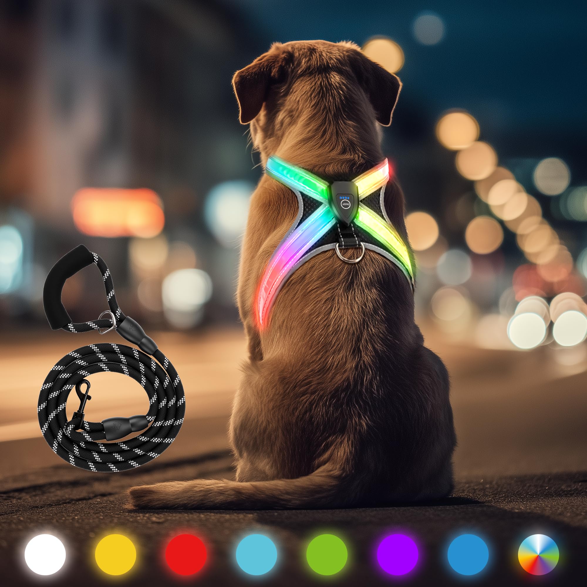 HENMI Leuchtgeschirr Set (L) mit LED & Hundeleine – Reflektierendes Sicherheitsgeschirr für mittlere Hunde