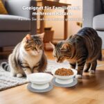 YIQOGAME Katzennapf-Set 2er erhöhte Keramiknäpfe mit Anti-Rutsch-Matte – Bild 6