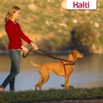 Halti Front Control Anti-Zug Hundegeschirr Grösse Mittel – Sanfte Leinenkontrolle – Bild 5