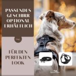 FREUDENTIER Hundeleine 2m Schwarz – Gepolsterte Führleine für grosse Hunde – Bild 5