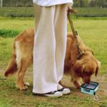 COOWONE Faltbarer Hundenapf 2er Set – Tragbarer Reisenapf mit Karabiner für Hunde & Katzen – Bild 8