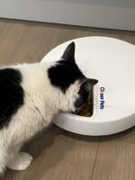 Closer Pets C500 Futterautomat mit Digitaltimer & Kühlakkus – Automatische Fütterung für Katzen – Bild 4