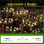 SCNNC Firefly Solar Glühwürmchen Gartenlichter 4er Set – IP65 wasserdicht für Garten & Balkon – Bild 2