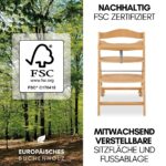 hauck Alpha Move Hochstuhl Newborn Set – 5in1 Mitwachsender Holzhochstuhl mit 2in1 Bouncer ab Geburt bis 90 kg – Bild 8