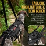 OneTigris Invictus Hundegeschirr L – Mobilitätshilfe mit 3 Griffen für ältere & verletzte Hunde – Bild 5