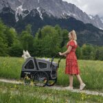 Doggyhut S-Line XL Hundeanhänger 2in1 – Federgefederter Hundebuggy bis 45 kg – Bild 7