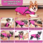 HezzLuv Hundemantel M Wasserdicht mit LED & Geschirr – Winterjacke für kleine Hunde – Bild 7