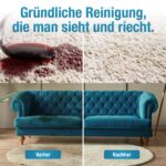 B.LIVING Nasssauger 400 W – Polsterreiniger für Sofas, Teppiche & Autositze mit Doppeltank – Bild 6