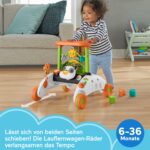 Fisher-Price 2-seitiger Panda-Lauflernwagen – Mehrsprachiges Lernspielzeug ab 6 Monaten – Bild 3