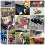 LUOWAN Hundemantel mit Geschirr – Wasserdicht & Warm für kleine Hunde – Bild 6