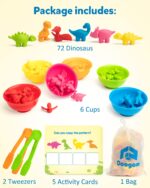 Coogam Dinosaurier Sortier-Set mit 72 Figuren – Montessori Lernspielzeug für Vorschule – Bild 7