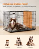 Feandrea Hundekäfig 122x74,5x80,5 cm – Zusammenklappbar mit 2 Türen für große Hunde – Bild 3