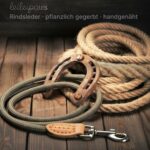LeileiPaws 3 m Verstellbare Multifunktions-Hundeleine aus Nylon & Leder – Führleine für alle Hunderassen – Bild 9