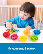 Coogam Dinosaurier Sortier-Set mit 72 Figuren – Montessori Lernspielzeug für Vorschule – Bild 4