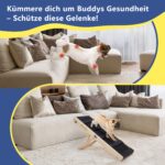 iPetba Hunderampe klappbar mit 4 Höheneinstellungen – Sofarampe für kleine Hunde bis 20 kg – Bild 3
