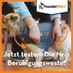 Thundershirt Beruhigungsweste Grösse L – Angstabbau für Hunde ohne Medikamente – Bild 4