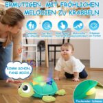 Aragallant Krabbel Schildkröte 6-18 Monate – Interaktives Lernspielzeug mit Musik & Sternenprojektion – Bild 2
