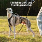 Huntboo Sicherheitsgeschirr M für Mittelgrosse Hunde – Ausbruchsicher mit Reflektoren & Griff – Bild 7