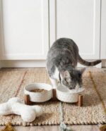 LE TAUCI Keramik Hundenapf-Set mit Akazienholzständer – 430 ml für Welpen & Katzen – Bild 2