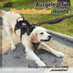 rabbitgoo Hundegeschirr Grösse M mit Tragegriff – Sicherheitsgeschirr für mittlere Hunde – Bild 3