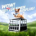 CADOCA® Hundetransportbox M Aluminium 54x70x51cm – Sichere Autotransportbox für Hunde – Bild 9