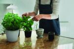 LEDVANCE LED Pflanzenleuchte mit 235 Lumen – Wachstumslicht für Indoor Garten & Kräuter – Bild 2