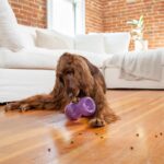 Planet Dog Double Snoop Interaktives Hundespielzeug – Leckerli-Spender für mentale Auslastung – Bild 8