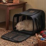 Conlun Katzentransportbox M – Flugzeugtauglich mit Sicherheitsschnalle für bis 7 kg – Bild 5
