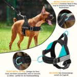 Eyein Hundegeschirr Grösse L mit Leine – Anti-Zug Brustgeschirr für grosse Hunde, reflektierend – Bild 3