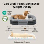 BEDSURE Orthopädisches Hundebett 89x64cm – Ergonomisches Sofa für Mittelgrosse Hunde – Bild 4